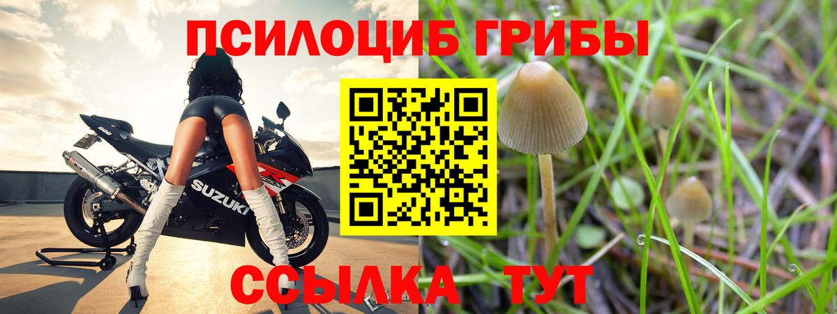 Псилоцибиновые грибы мухоморы Бугуруслан